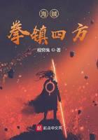 One Piece: Fists of the Quartet