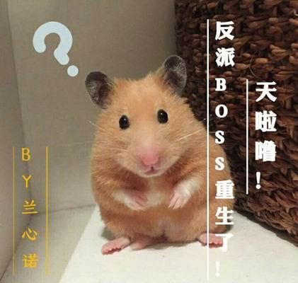 Oh my god!The villain boss is reborn!