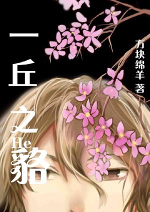 【Bing Jiao】The raccoon dog on a hill