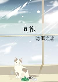 Companion